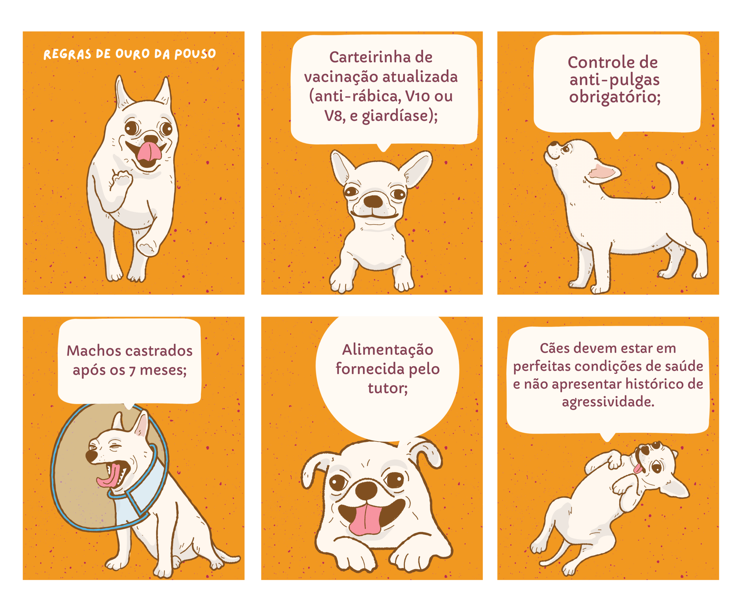 Pet Sitting 2 1