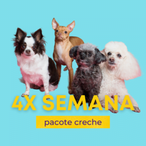 day-care-creche-campinas-barao-geraldo-banho-tosa-pouso-de-bicho