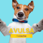 creche-avulsa-hotel-cachorro-campinas-pouso-de-bicho