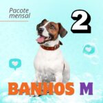 banho-tosa-low-stress-pouso-de-bicho-creche-cachorro-campinas