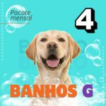 banho-tosa-low-stress-pouso-de-bicho-creche-cachorro-campinas