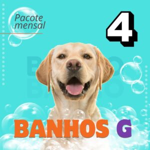 banho-tosa-low-stress-pouso-de-bicho-creche-cachorro-campinas