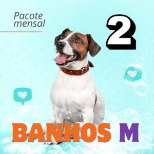 banho-tosa-low-stress-pouso-de-bicho-creche-cachorro-campinas