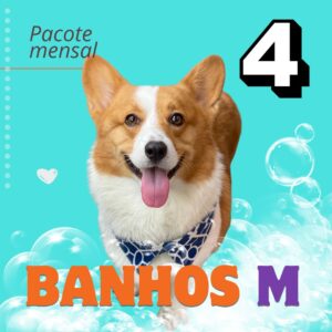 banho-tosa-low-stress-pouso-de-bicho-creche-cachorro-campinas