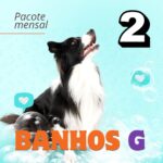 banho-tosa-low-stress-pouso-de-bicho-creche-cachorro-campinas