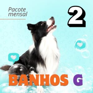 banho-tosa-low-stress-pouso-de-bicho-creche-cachorro-campinas