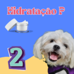 Hidratação P - Banho 2x/Mês – Porte P