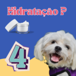 Hidratação P - Banho 4x/Mês – Porte P
