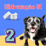 Hidratação M - Banho 2x/Mês – Porte M