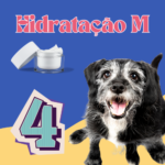 Hidratação M - Banho 4x/Mês – Porte M