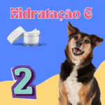 Hidratação G - Banho 2x/Mês – Porte G
