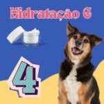 Hidratação G - Banho 4x/Mês – Porte G