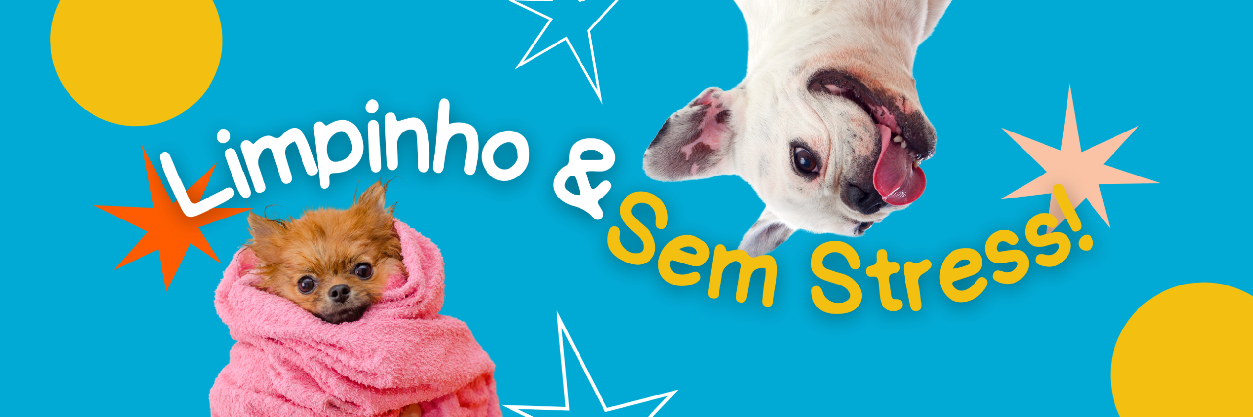 banho-tosa-campinas-sem-estresse-especial